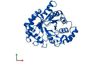 Protein Structure (PS) image for Aldo-Keto Reductase Family 1, Member D1 (AKR1D1) (AA 1-326) protein (His tag) (ABIN7552108)