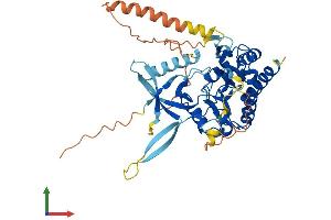 Protein Structure (PS) image for Inositol Hexakisphosphate Kinase 2 (IP6K2) (AA 1-448) protein (His tag) (ABIN7558353)