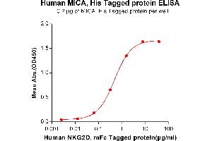 ELISA image for MHC Class I Polypeptide-Related Sequence A (MICA) (AA 24-307) protein (His tag) (ABIN6964102)
