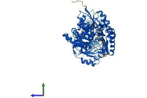 Protein Structure (PS) image for Glucosamine (UDP-N-Acetyl)-2-Epimerase/N-Acetylmannosamine Kinase (GNE) (AA 1-722) protein (His tag) (ABIN7564802)