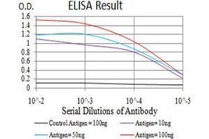 Black line: Control Antigen (100 ng);Purple line: Antigen (10ng); Blue line: Antigen (50 ng); Red line:Antigen (100 ng) (PYCARD 抗体  (AA 1-120))