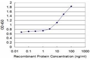 Detection limit for recombinant GST tagged TAP1 is approximately 1ng/ml as a capture antibody. (TAP1 抗体  (AA 241-350))