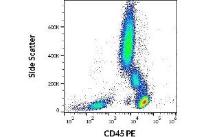 Flow cytometry surface staining pattern of human peripheral whole blood stained using anti-human CD45 (MEM-28) PE antibody (20 μL reagent / 100 μL of peripheral whole blood). (CD45 抗体  (PE))