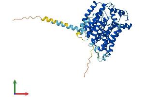 Protein Structure (PS) image for ALG3, alpha-1,3- mannosyltransferase (ALG3) (AA 1-438) protein (His tag) (ABIN7552141)