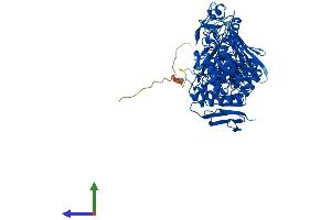 Protein Structure (PS) image for Myogenesis Regulating Glycosidase (MYORG) (AA 1-714) protein (His tag) (ABIN7548612)