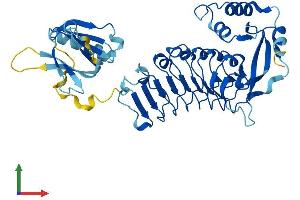 Protein Structure (PS) image for Leucine Rich Repeat Protein 1 (LRR1) (AA 1-414) protein (His tag) (ABIN7549064)