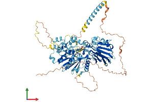 Protein Structure (PS) image for Chromosome 4 Open Reading Frame 14 (C4orf14) (AA 1-698) protein (His tag) (ABIN7549892)
