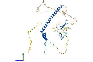 AlphaFold protein structure predicition of Human Recombinant WBP4 Protein, UniprotID O75554