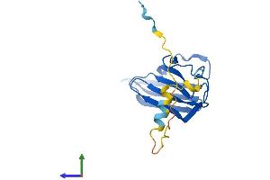 Protein Structure (PS) image for Prostaglandin E Synthase 3 (Cytosolic) (PTGES3) (AA 1-160) protein (His tag) (ABIN7556201)