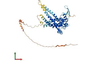 AlphaFold protein structure predicition of Mouse Recombinant Mtch1 Protein, UniprotID Q791T5