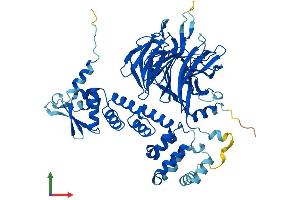 Protein Structure (PS) image for Gigaxonin (GAN) (AA 1-597) protein (His tag) (ABIN7547904)