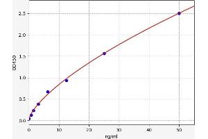 Typical standard curve (ICAM2 ELISA 试剂盒)