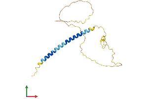 Protein Structure (PS) image for Bcl2 Modifying Factor (BMF) (AA 1-184) protein (His tag) (ABIN7552811)