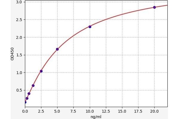 SAA4 ELISA 试剂盒