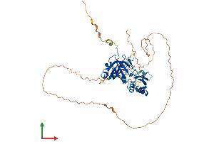 Protein Structure (PS) image for Chromosome 9 Open Reading Frame 156 (C9orf156) (AA 1-441) protein (His tag) (ABIN7544629)