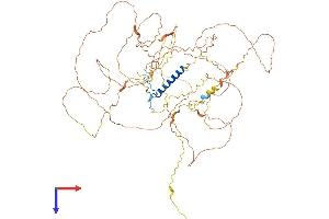 NUFIP2 Protein (AA 1-692) (His tag)