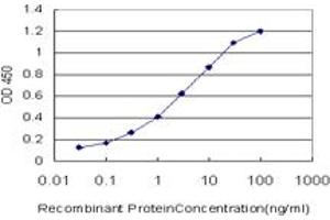 Detection limit for recombinant GST tagged TAPBPL is approximately 0. (TAPBPL 抗体  (AA 23-121))