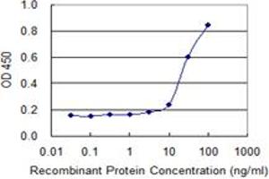 Detection limit for recombinant GST tagged SPAG4 is 1 ng/ml as a capture antibody. (SPAG4 抗体  (AA 221-330))