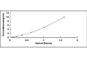 Typical standard curve (CD166 ELISA 试剂盒)