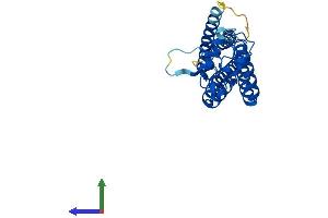 Protein Structure (PS) image for Tetraspanin 33 (TSPAN33) (AA 1-283) protein (His tag) (ABIN7544809)