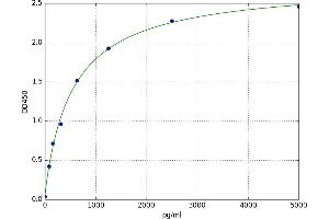 Cytochrome B5 Reductase 2 (CYB5R2) ELISA Kit