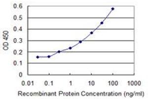 Detection limit for recombinant GST tagged AMELX is 0. (AMELX 抗体  (AA 93-191))