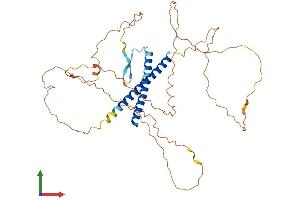 AlphaFold protein structure predicition of Mouse Recombinant Iqcc Protein, UniprotID A2ADZ8