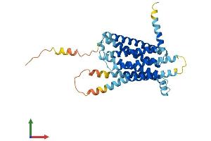AlphaFold protein structure predicition of Human Recombinant TAS2R39 Protein, UniprotID P59534