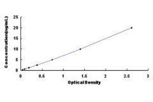 Histamine Receptor H3 (HRH3) ELISA Kit
