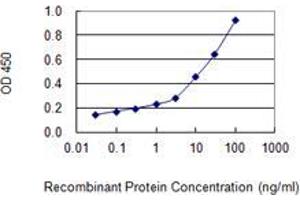 Detection limit for recombinant GST tagged UGT1A1 is 0. (UGT1A1 抗体  (AA 54-159))