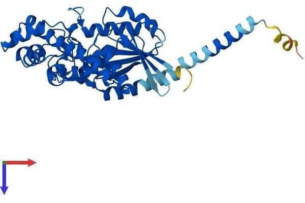 GNA11 Protein (AA 1-359) (His tag)