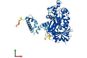 AlphaFold protein structure predicition of Mouse Recombinant Elp3 Protein, UniprotID Q9CZX0
