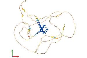 AlphaFold protein structure predicition of Human Recombinant HOXB3 Protein, UniprotID P14651