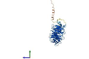 Protein Structure (PS) image for WD Repeat Domain 55 (WDR55) (AA 1-383) protein (His tag) (ABIN7545175)