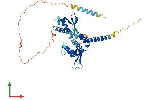 Protein Structure (PS) image for Melanoma Antigen Family B, 18 (MAGEB18) (AA 1-327) protein (His tag) (ABIN7558823)