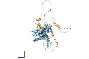 Protein Structure (PS) image for Putative Homeodomain Transcription Factor 2 (PHTF2) (AA 1-785) protein (His tag) (ABIN7550685)