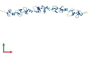 AlphaFold protein structure predicition of Mouse Recombinant Fhl5 Protein, UniprotID Q9WTX7