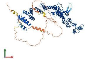 Protein Structure (PS) image for VPS33B Interacting Protein, Apical-Basolateral Polarity Regulator (VIPAR) (AA 1-491) protein (His tag) (ABIN7564341)