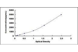 Small Ubiquitin Related Modifier Protein 1 (SUMO1) ELISA Kit