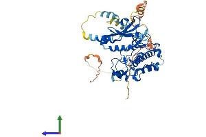 Protein Structure (PS) image for serine/threonine Kinase 32C (STK32C) (AA 1-486) protein (His tag) (ABIN7546365)