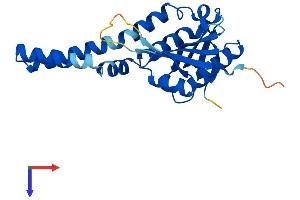 AlphaFold protein structure predicition of Mouse Recombinant Cml5 Protein, UniprotID Q9QXS8