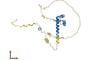 Protein Structure (PS) image for NK3 Homeobox 1 (NKX3-1) (AA 1-234) protein (His tag) (ABIN7549769)