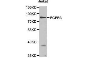 Western Blotting (WB) image for anti-Fibroblast Growth Factor Receptor 3 (FGFR3) antibody (ABIN1872689) (FGFR3 抗体)