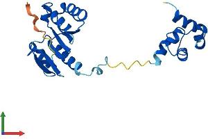 AlphaFold protein structure predicition of Human Recombinant FAAP24 Protein, UniprotID Q9BTP7