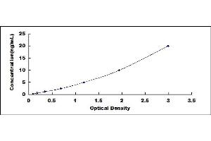 Typical standard curve (SMOX ELISA 试剂盒)