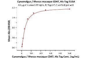 Immobilized Human SIRP alpha, Fc Tag (Hied) (ABIN2181766,ABIN2181765) at 5 μg/mL (100 μL/well) can bind Cynomolgus / Rhesus macaque CD47, His Tag (ABIN5674615,ABIN6809986) with a linear range of 4-63 ng/mL (QC tested).