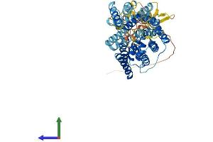 Protein Structure (PS) image for Solute Carrier Family 38, Member 9 (SLC38A9) (AA 1-561) protein (His tag) (ABIN7555305)