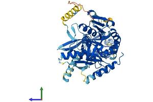 Protein Structure (PS) image for UEV and Lactate/malate Dehyrogenase Domains (UEVLD) (AA 1-471) protein (His tag) (ABIN7545007)