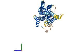 Protein Structure (PS) image for Solute Carrier Family 39 (Zinc Transporter), Member 9 (SLC39A9) (AA 1-307) protein (His tag) (ABIN7551718)