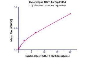 Binding Studies (Bind) image for T Cell Immunoreceptor with Ig and ITIM Domains (TIGIT) (AA 89-208) (Active) protein (Fc Tag) (ABIN4949062)